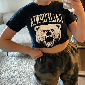 Pacsun cropped California tshirt